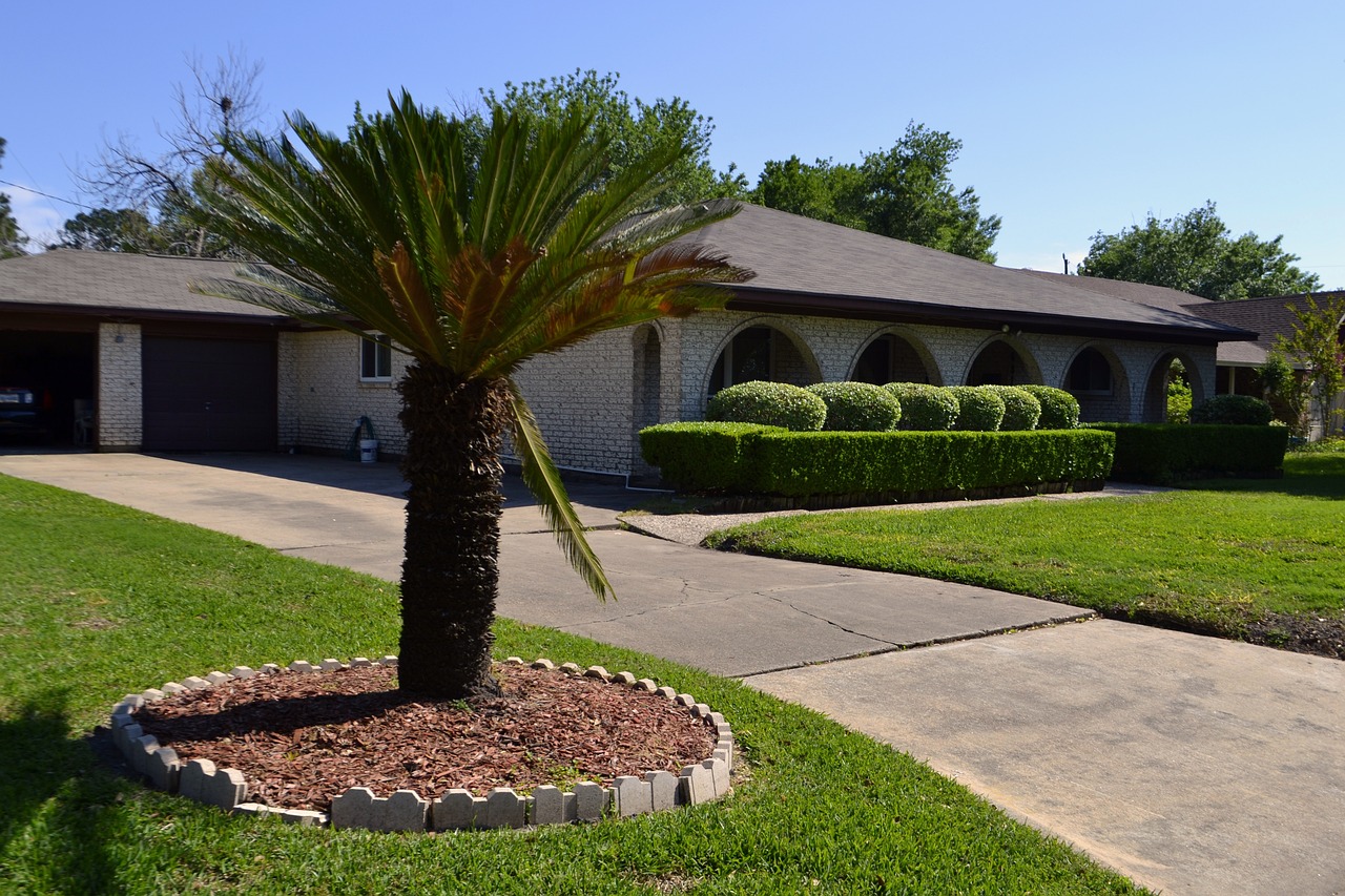 tree, lawn, grass-3252382.jpg